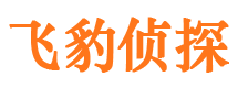 金湖外遇出轨调查取证